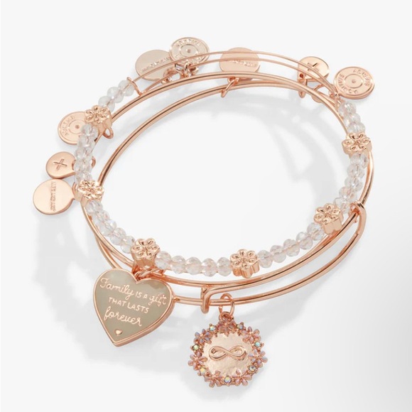 💕ALEX & ANI💕Family Is A Gift That Lasts Forever' Charm Bangle Bracelet Set/NWOT - Picture 1 of 10